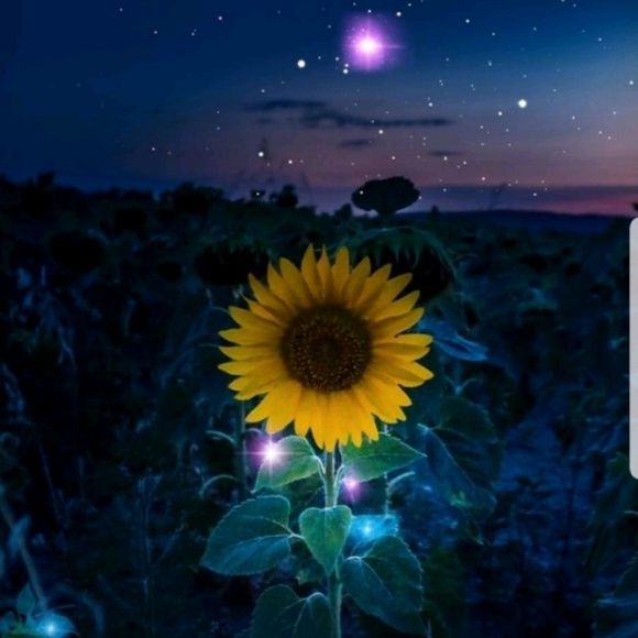 Meet your Posher, K - Picture 1 of 1